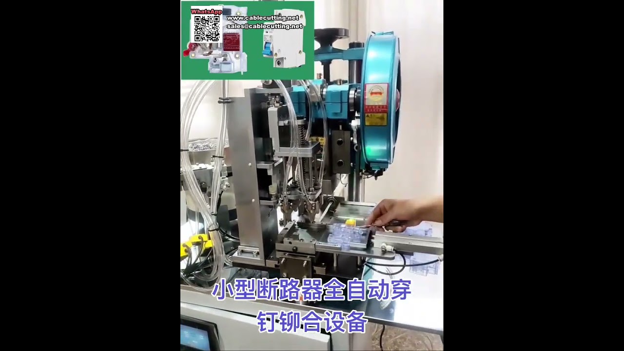 小型回路ブレーカーとスイッチ向け全自動リベット打ち機設備