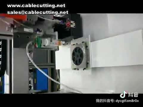 ツインヘッド自動ねじ締め機｜ブロー式デスクタイプで1秒1本の高速ロック機能