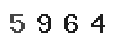 Verification Code Image